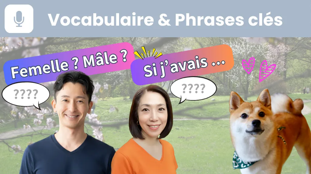 KN016-vocab2