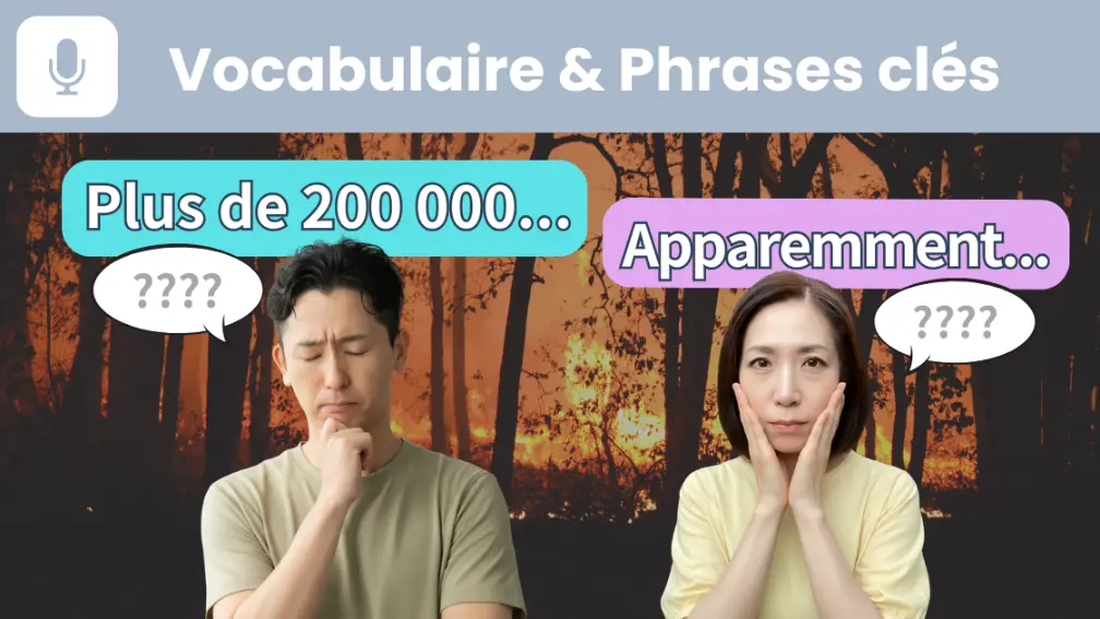 KN032-vocab3